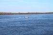 Текущий уровень воды у г. Самара (р. Волга)