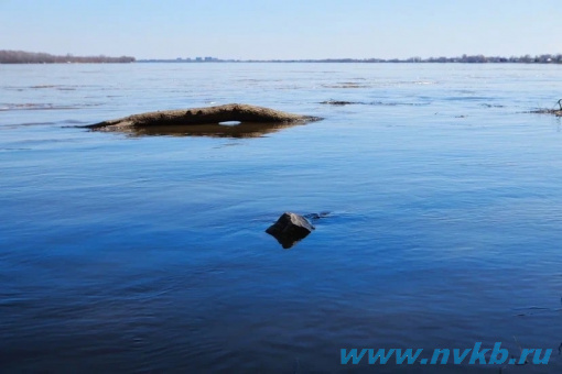 Текущий уровень воды у г. Самара (р. Волга) 